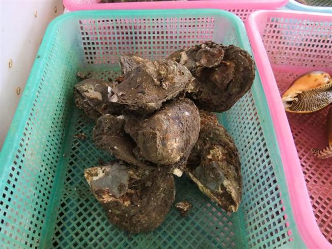 DSCF1543 (Medium).JPG